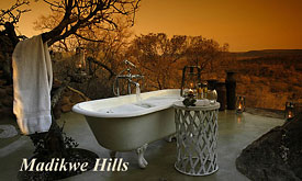 Madikwe Hills Safari Lodge, Madikwe Luxury Safari Lodges