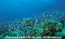 Azura Quilalea Island, Quirimbas, Mozambique Islands