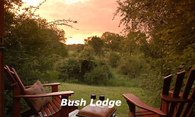 Sabi Sabi Bush Lodge