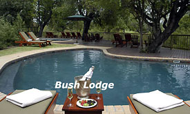 The Swimming Pool at Sabi Sabi Bush Lodge, Luxury Safari Lodge, Sabi Sands, South Africa