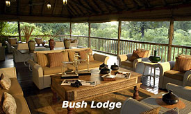 The Lounge, Sabi Sabi Bush Lodge, Luxury Safari Lodge, Sabi Sands, South Africa