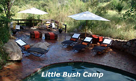 Sabi Sabi Little Bush Camp, the Pool