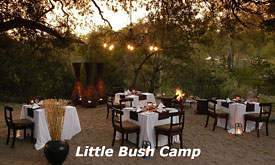 The Bomma at Sabi Sabi Little Bush Camp, Sabi Sabi's Luxury Safari Lodge in Sabi Sands, South Africa