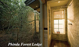 Phinda Forest Lodge, Zululand, South Africa