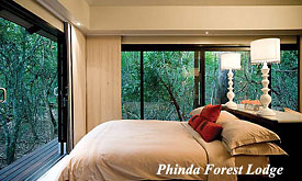 Bedroom at Phinda Forest Lodge, Zululand, South Africa