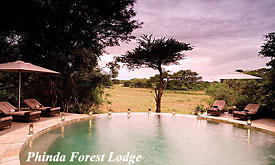 Phinda Forest Lodge, Zululand, South Africa
