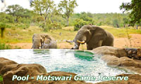 Motswari Safari Packages, Special Offers