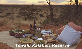 Acvtivities at Tswalu Kalahari Reserve