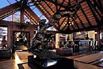 Mateya Safari Lodge, Madikwe Game Reserve, African Big Five Safari