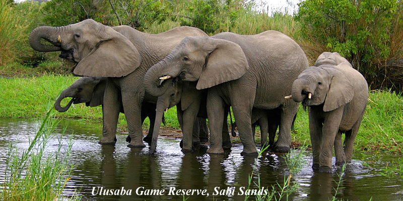 14ULUSABA-1